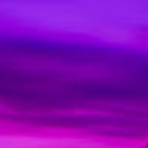 Meet your Posher, Robyn